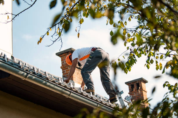Quick and Trustworthy Emergency Roof Repair Services in Arbutus, MD